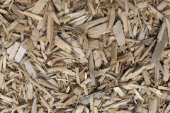 biomass boilers Cadzow